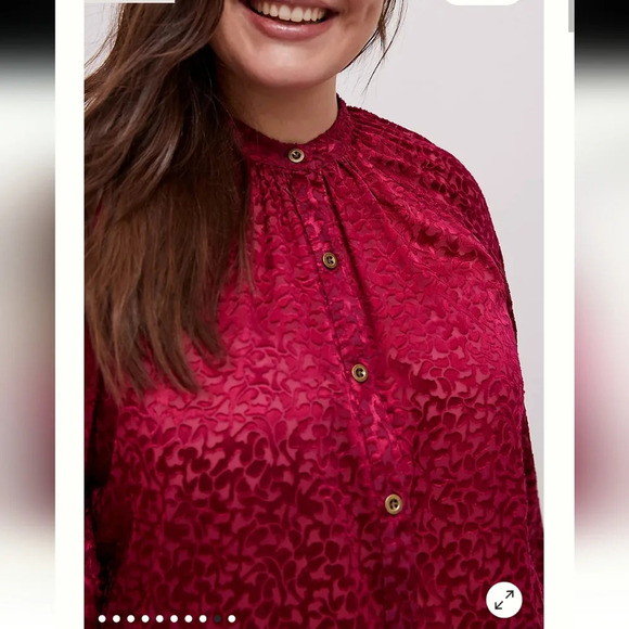 By Anthropologie Susanna Burnout Velvet Button Up Blouse 3/4 Sleeves Medium - Picture 10 of 17